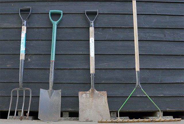 Tools you need to plant a privet hedge