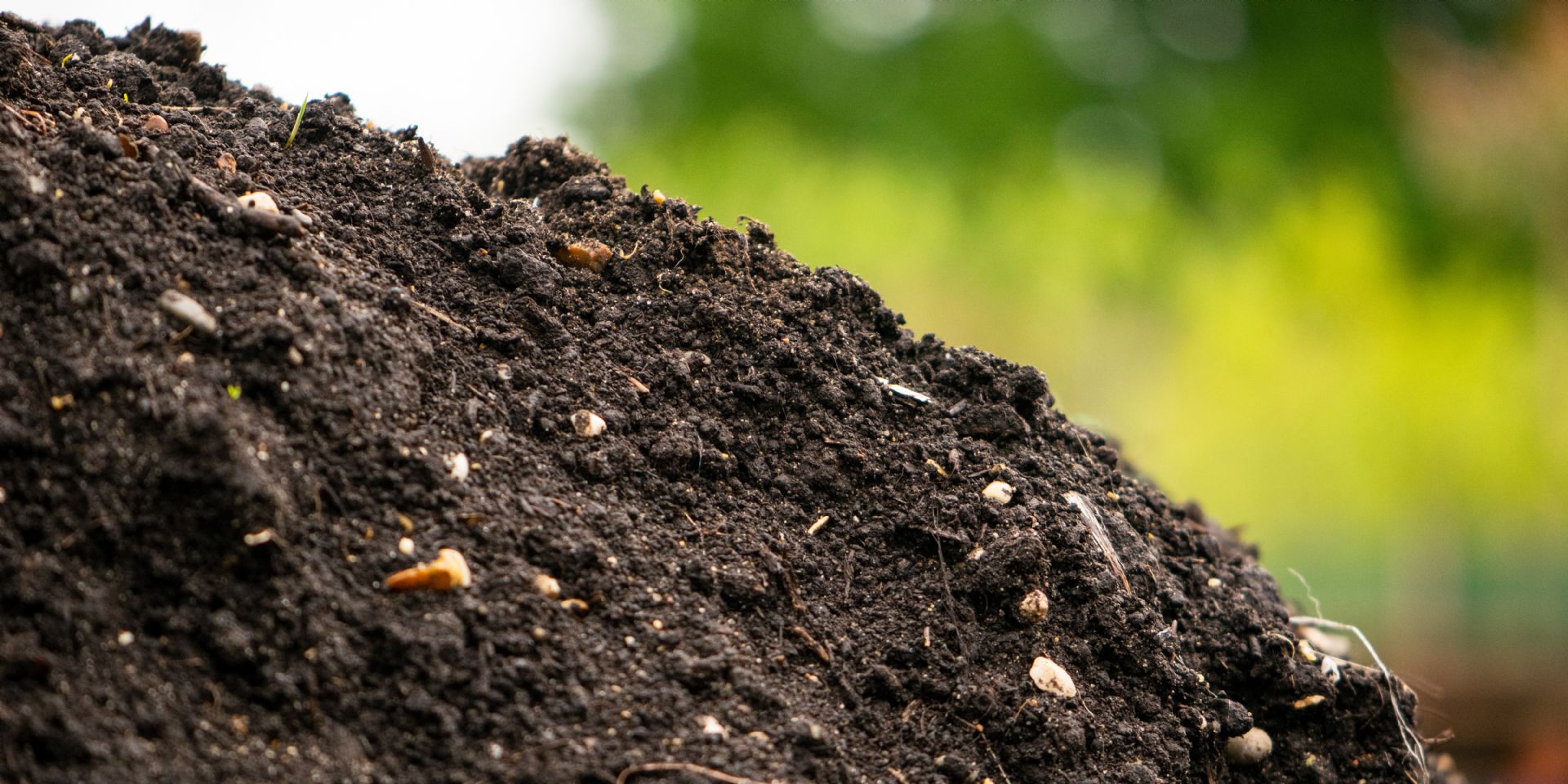 Caring For Your New Hedge Hedging Plants Direct