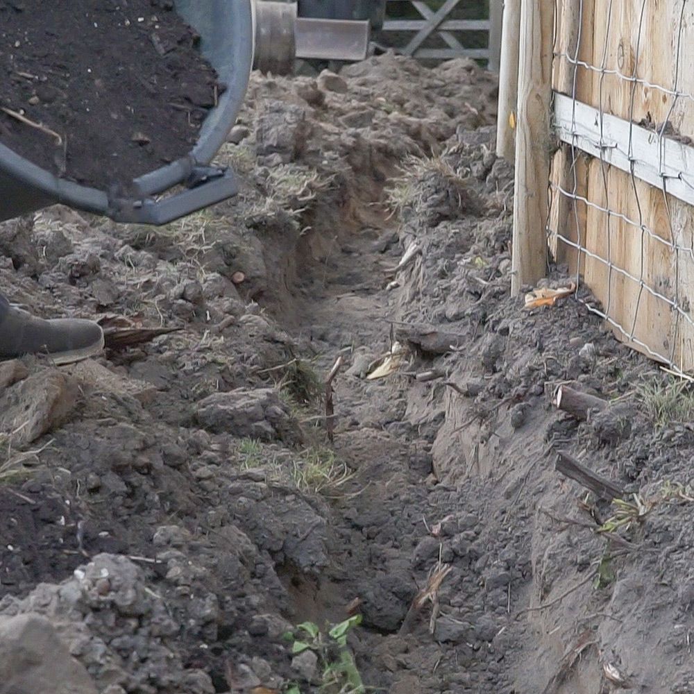 Trench for planting laurel hedging