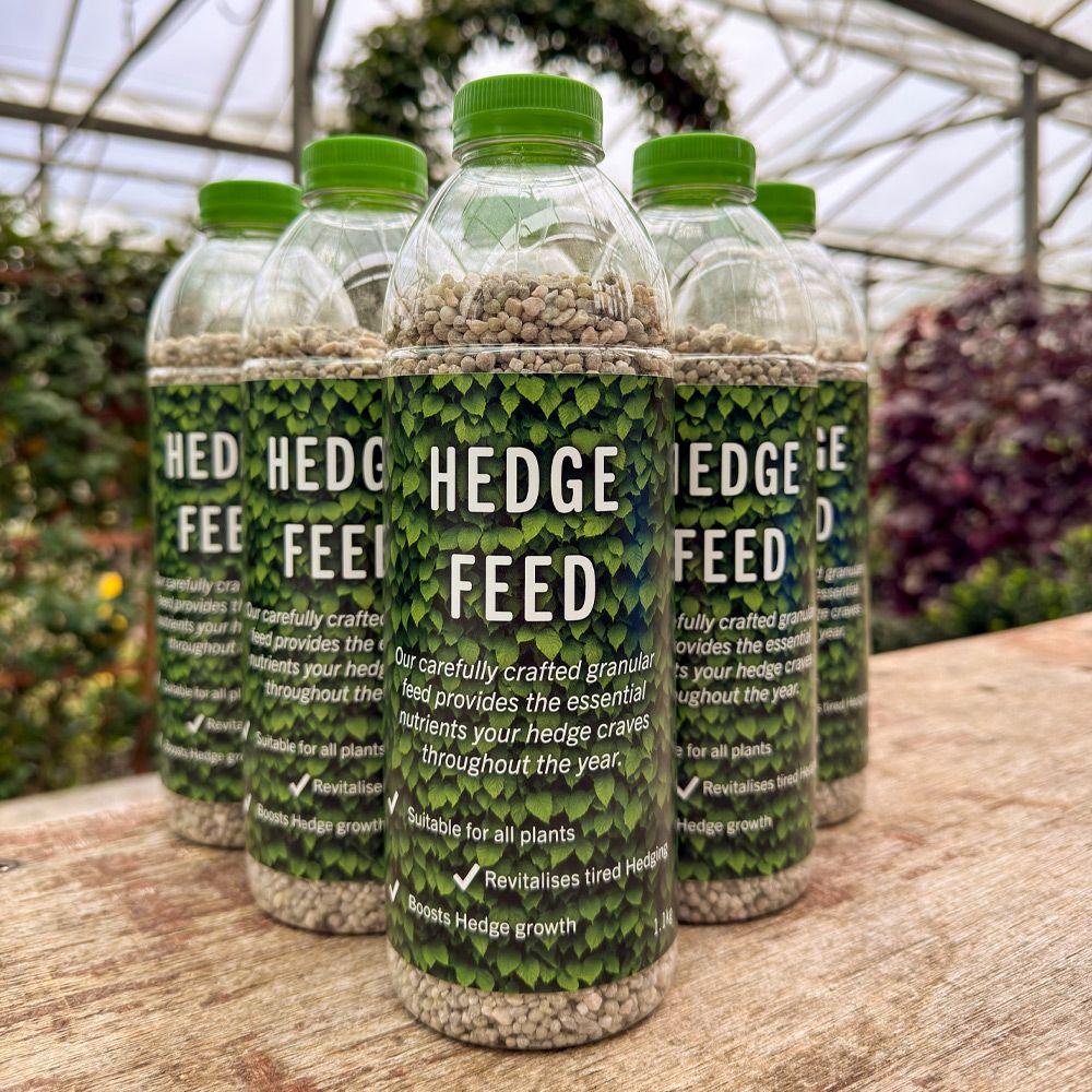 Hedge Feed - long-lasting granular fertiliser slowly releases essential nutrients -Hedging Plants Direct