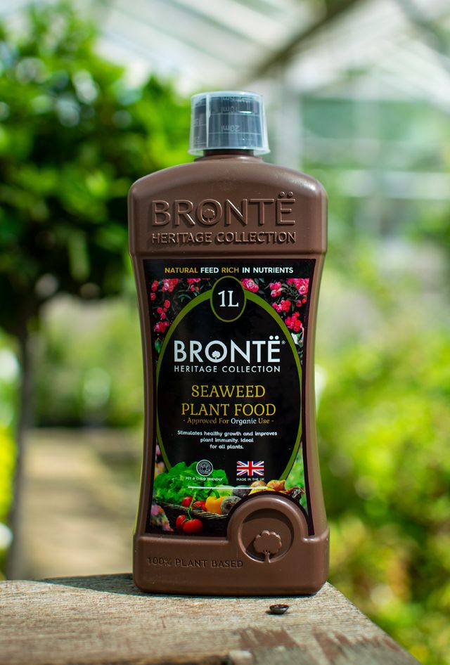 Bronte Seaweed Plant Food