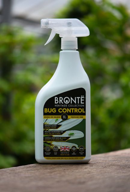 Bronte Bug Control