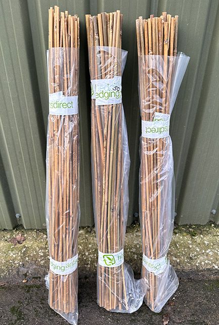 Garden Canes