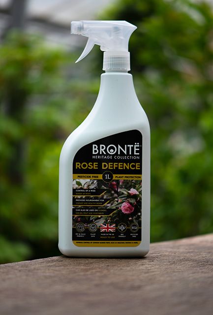 Bronte Rose Defence