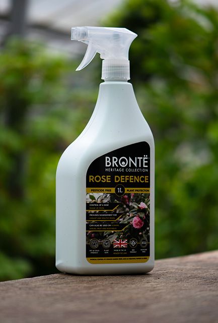 Bronte Rose Defence