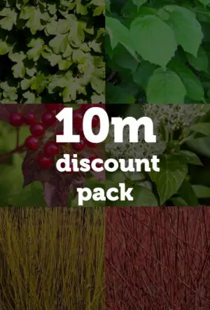 Thornless Hedging Mix