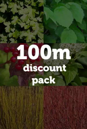 Thornless Hedging Mix