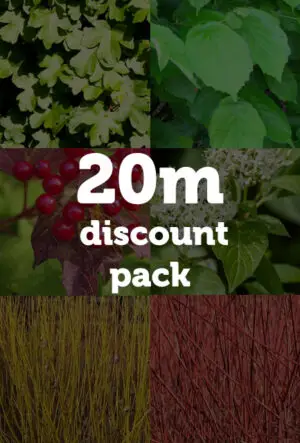Thornless Hedging Mix