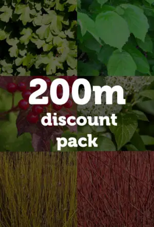 Thornless Hedging Mix