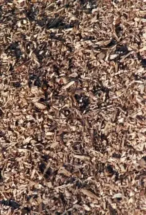 Hedge bio mulch