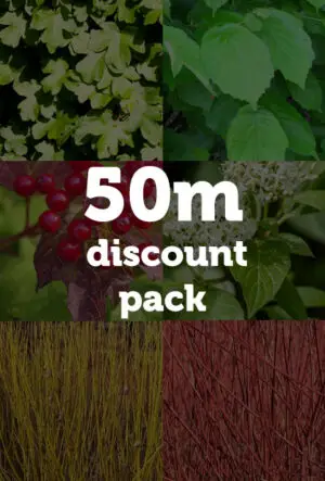 Thornless Hedging Mix