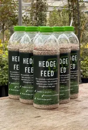 Hedge Feed