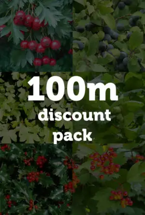 Garden Wildlife Hedging Mix