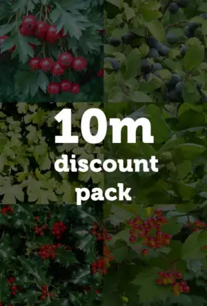 Garden Wildlife Hedging Mix