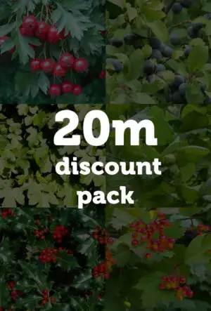 Garden Wildlife Hedging Mix