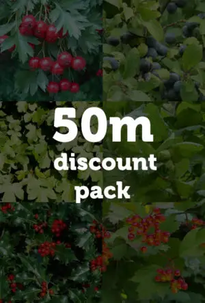 Garden Wildlife Hedging Mix