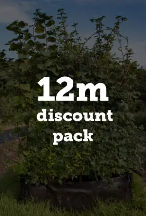 Instant CountryHedge