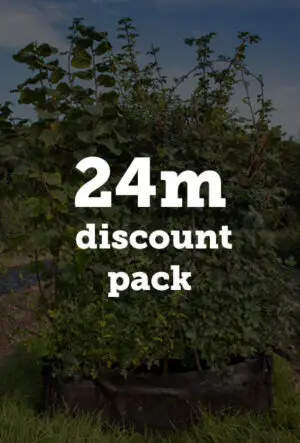 Instant CountryHedge