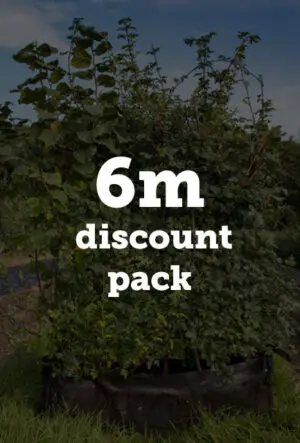 Instant CountryHedge
