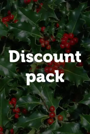 English Holly Hedge