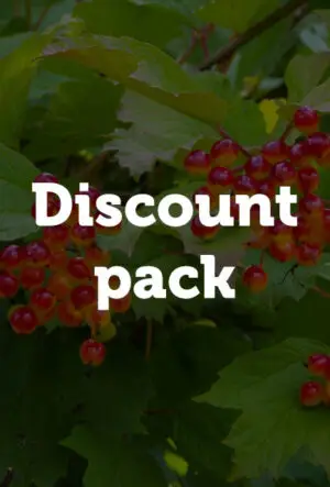 Guelder Rose Hedge