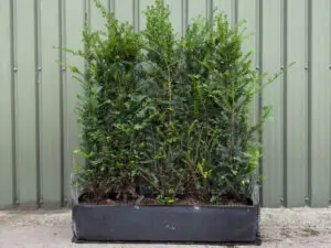 Instant Hedging