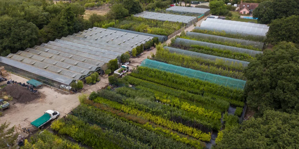 Aerial view of the Hedging Plants Direct family nursery in Dedham, Essex