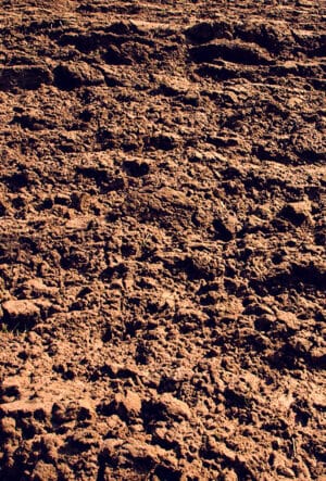 Hedging for Dry Sites