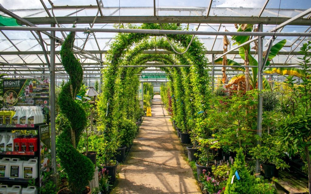 Covered plant nursery stock with shrubs, trees, roses, climbers and perennials ready for trade collection or dispatch